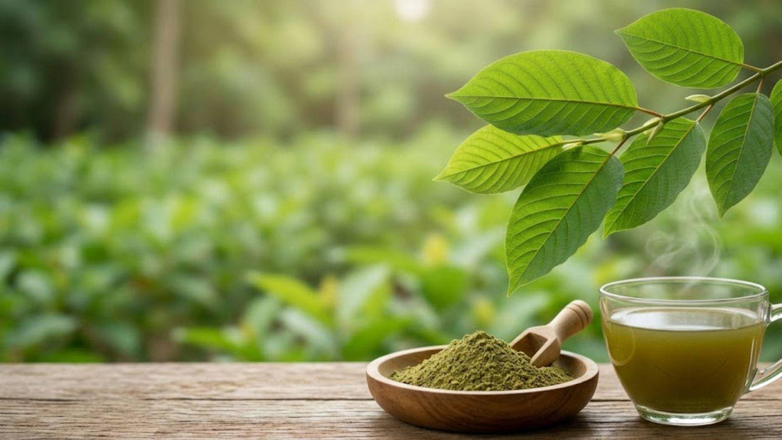 Bowl of green kratom powder with tea in the jungle